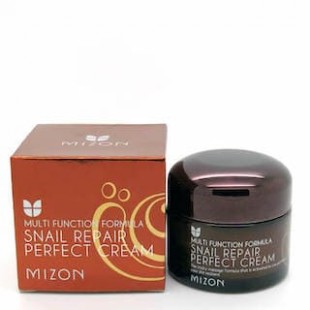 MIZON Питательный улиточный крем Snail Repair Perfect Cream, 50 мл.
